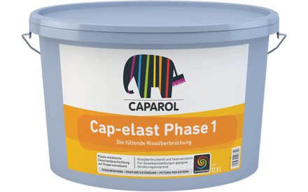 Cap-elast Phase 1