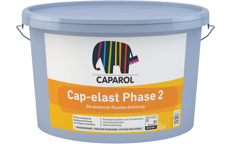 Cap-elast Phase 2 Cap-elast Phase 2