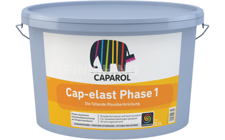 Cap-elast Phase 1