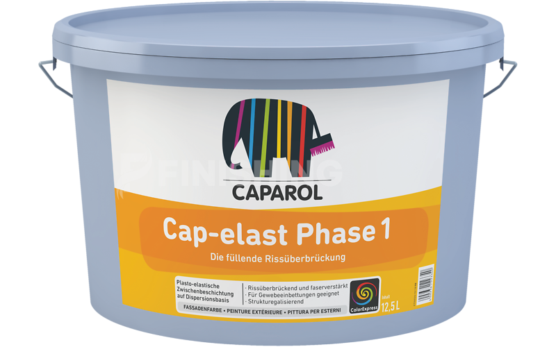 Cap-elast Phase 1
